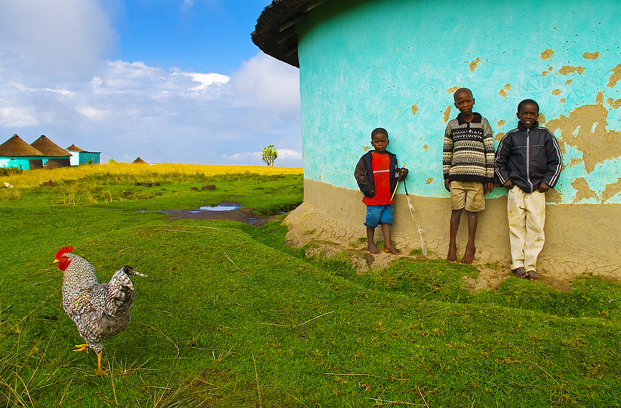 boy's in south africa photo